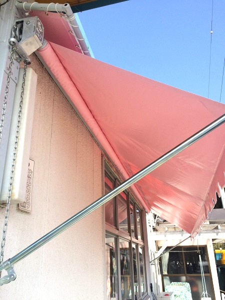 ���悯�e���g�H���@�{�H�O